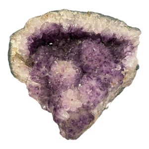 Amethyst Cactus Geode